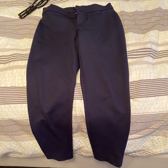 Banana republic dress pant. Navy. Never worn - Picture 1 of 2